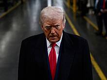 Трампу дали совет по Гренландии