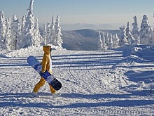 Турпоток в Шерегеш за год увеличился на 30%