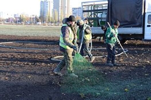 Глава Старого Оскола объяснил, зачем коммунальщики «красили газон»