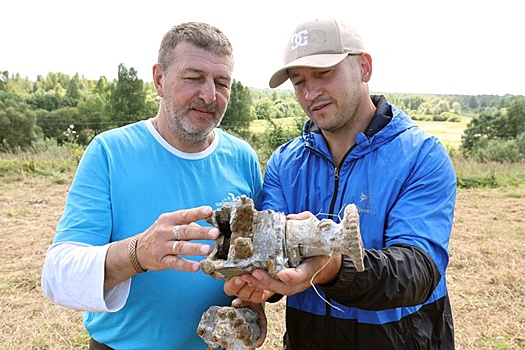 Витебск: Поисковики обнаружили самолет в тех местах, где воевал Маресьев
