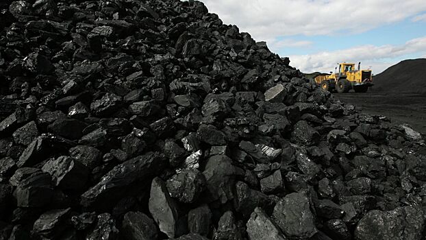 Польша не намерена отменять эмбарго на уголь из России