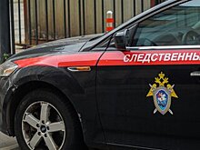 В Санкт-Петербурге расследуют дело по факту избиения детей отцом и его сожительницей