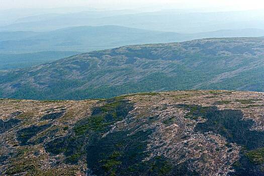 Волонтеры возобновят поиск семьи Усольцевых