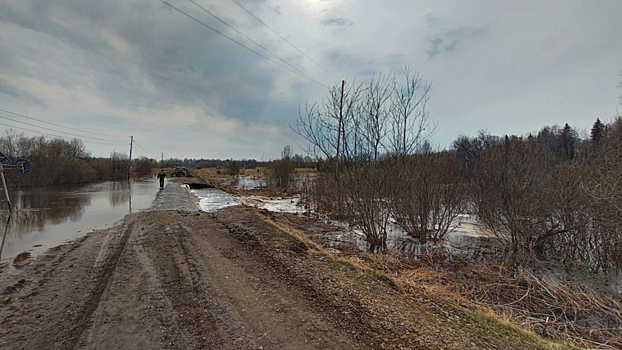 Между двумя селами в Томской области произошел перелив дороги