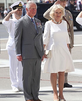 У принца Чарльза и его супруги есть тайный сын?