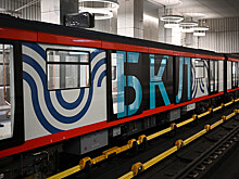 В московском метро на БКЛ из-за человека на пути произошел сбой