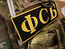 ФСБ РФ: жительницу ЛНР задержали за передачу Украине данных о российских войсках