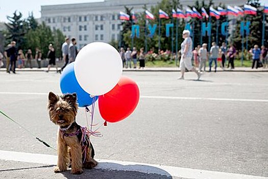 В Крыму отреагировали на инициативу ОП ЛНР о присоединении к России