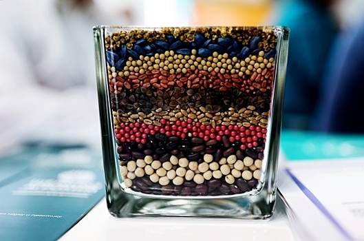 РБК: крупнейший в России завод томатной пасты заявил о нехватке семян помидоров