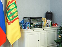 «Елка желаний»: губернатор рассказал о самом оригинальном подарке