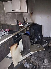 Неисправность посудомоечной машины стала причиной пожара в квартире на Красноармейской