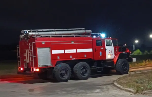 В Самарской области в пожаре погибли домашние животные