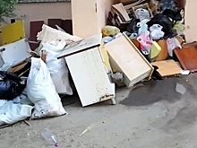 Виктор Малетин мусоровывозящим компаниям: “Уже имеются прецеденты, когда выигрывают лоты, а потом оказываются в местах не столь отдаленных”