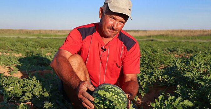Прокормят ли астраханские аграрии земляков в эпоху самоизоляции?