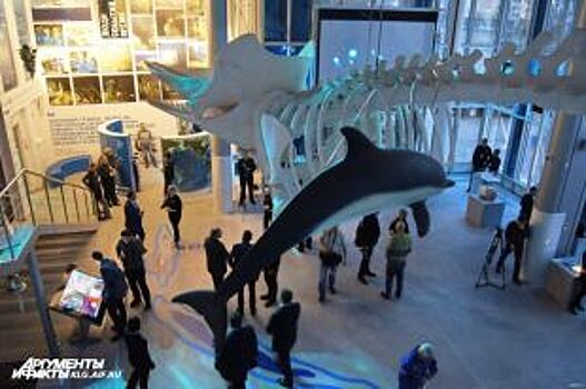 24 ноября в Музей Мирового океана посетителей пустят без билета