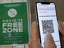 Более трети опрошенных россиян считают, что масочный режим и QR-коды останутся навсегда