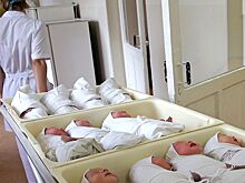 В Кремле заявили о катастрофическом для будущего нации уровне рождаемости