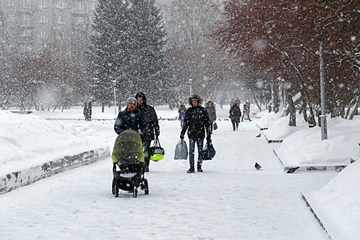 Снежный армагеддон начался в Новосибирской области 22 января