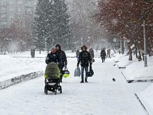 Снежный армагеддон начался в Новосибирской области 22 января