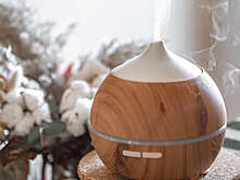 "МК": неправильное использование увлажнителя воздуха вызывает опасные инфекции