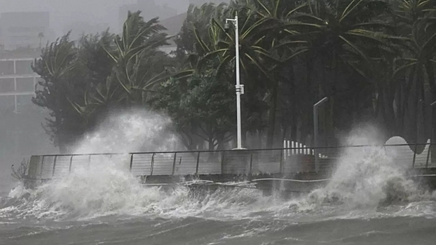 Туристы во Вьетнаме жалуются на ядовитых жуков после тайфуна "Калмаэги"