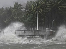 Туристы во Вьетнаме жалуются на ядовитых жуков после тайфуна "Калмаэги"