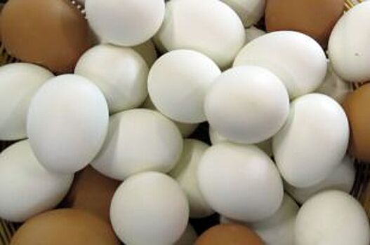 В Нижегородской области снизились цены на яйца и мясо птицы