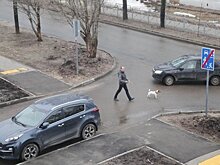 В Казани заявили о росте напряжения во дворах между автовладельцами и "безлошадными"