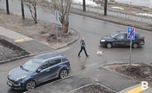 В Казани заявили о росте напряжения во дворах между автовладельцами и "безлошадными"