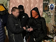 Суд оставил без изменений наказание нижегородцу, убившему родителей подруги