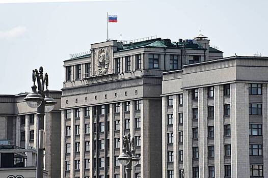 В Госдуме призвали лишить детей Пугачевой и Галкина российского гражданства