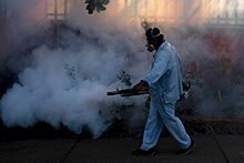 В Ханое сообщили о первом случае смерти от лихорадки денге