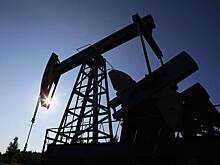 «Русснефть» отчиталась о значительном сокращении добычи нефти