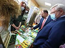Губернатор Томской области поручил выращивать рассаду и саженцы в промышленных масштабах