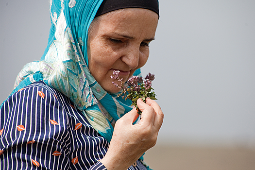 Время собирать травы