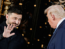 В конгрессе США призвали Трампа заняться Америкой, а не встречаться с Зеленским