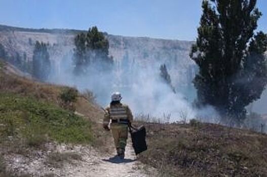 За последние сутки в Приморье потушили семь лесных пожаров