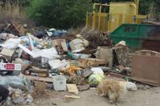 Член Общественной палаты РФ посетил мусоросортировку под Волгоградом