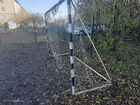 В Новосибирской области выплатят 80 тысяч рублей мальчику, на которого упали футбольные ворота