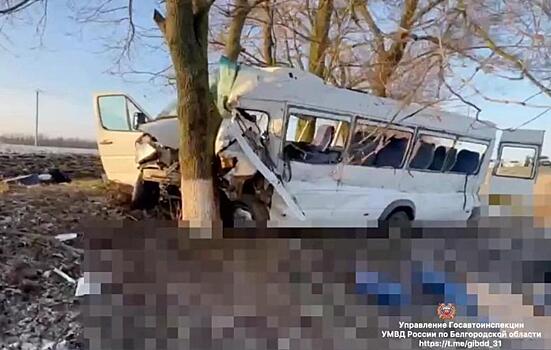 В Белгородской области в ДТП погибли два человека