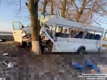 В Белгородской области в ДТП погибли два человека