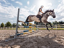 Минск: Определились призеры Кубка по конному троеборью