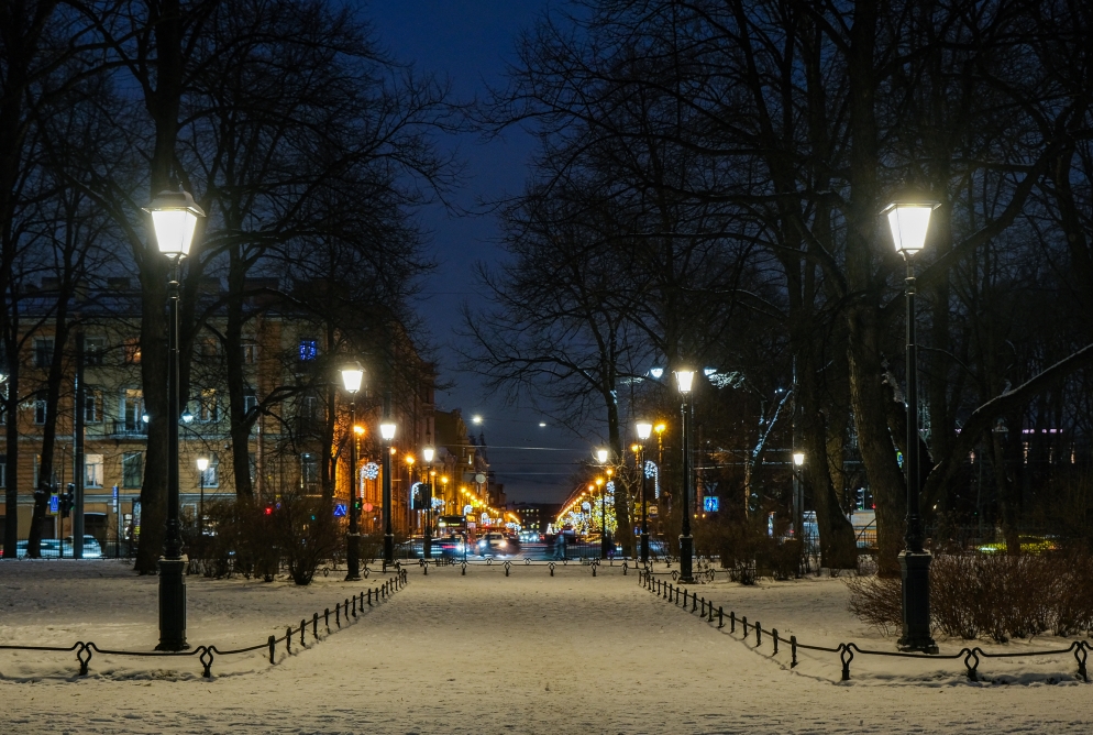 Сад Салтыкова-Щедрина в центре Петербурга получил новую систему освещения