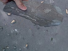 Ростовчане могут полететь в Москву со скидкой