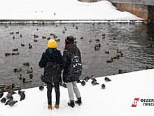 Психолог объяснила, почему часть россиян против приезда беженцев с Донбасса