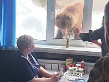 Любопытный медведь на Камчатке попросился на завтрак к людям и попал на видео