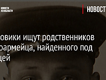Поисковики ищут родственников красноармейца, найденного под Вырицей