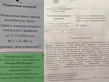 В Петрозаводске у учителей отобрали новогоднюю премию