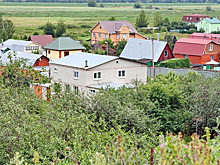 Похититель более ста участков в Подмосковье вернулся в Россию и сдался следствию