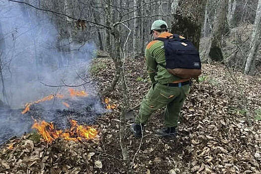 Пожарные локализовали возгорание в лесу в Туапсинском округе